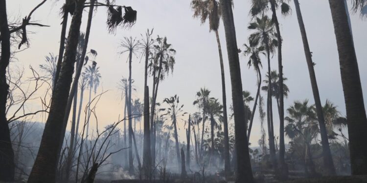 En Santiago fortalecen las medidas preventivas contra incendios forestales y acciones para mitigar impactos a los ecosistemas