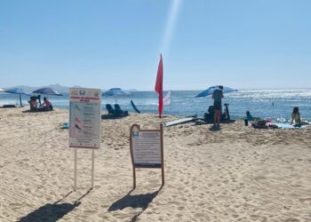 Exhorta Zofemat Los Cabos a estar alerta a los colores de las banderas en playas