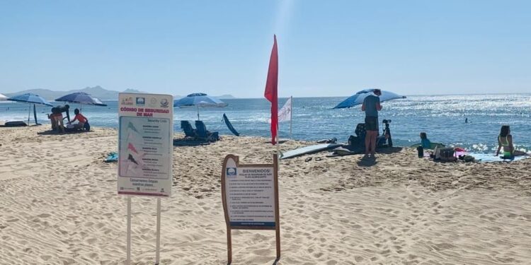 Exhorta Zofemat Los Cabos a estar alerta a los colores de las banderas en playas