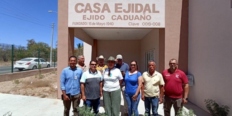 Prepara Gobierno de Los Cabos el 1er. Festival del Pájaro Chubasquero