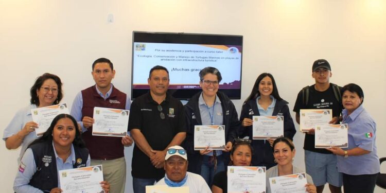 Comprometido Gobierno de Los Cabos con la protección a la Tortuga Marina
