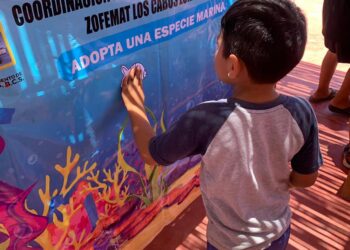 Con una jornada de concientización en Cabo Pulmo, celebró Zofemat Los Cabos el “Día Mundial de la Bicicleta”