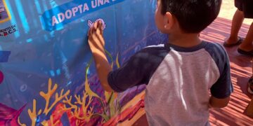 Con una jornada de concientización en Cabo Pulmo, celebró Zofemat Los Cabos el “Día Mundial de la Bicicleta”