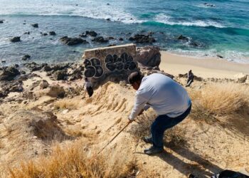 Redobla Zofemat Los Cabos las labores de limpieza en zonas adyacentes a playas ante la temporada de huracanes
