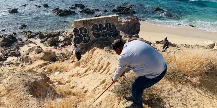 Redobla Zofemat Los Cabos las labores de limpieza en zonas adyacentes a playas ante la temporada de huracanes