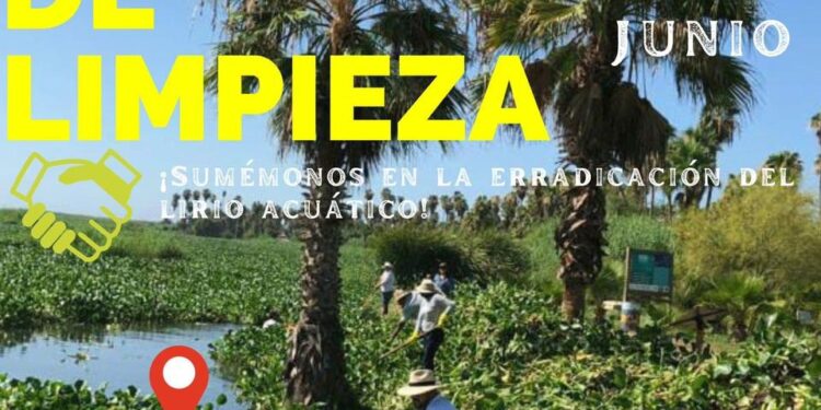 Invita la Dirección de Ecología y Medio Ambiente a la jornada de limpieza en el Estero Josefino