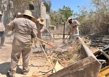 En Los Cabos continua Servicios Públicos con las jornadas de limpieza de fin de semana