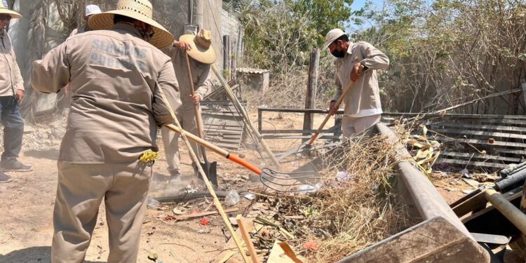 En Los Cabos continua Servicios Públicos con las jornadas de limpieza de fin de semana