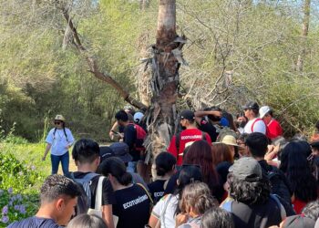 Visitas guiadas estrategia para la conservación de la Reserva Ecológica Estatal Estero de San José del Cabo