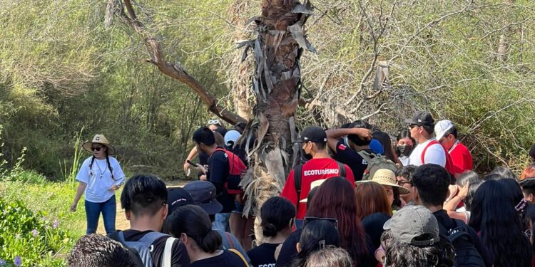 Visitas guiadas estrategia para la conservación de la Reserva Ecológica Estatal Estero de San José del Cabo
