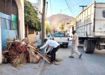 Un total de 1,189 toneladas de desechos se han retirado por medio del programa de Sectorización en CSL