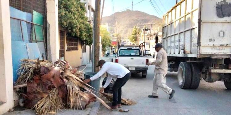 Un total de 1,189 toneladas de desechos se han retirado por medio del programa de Sectorización en CSL