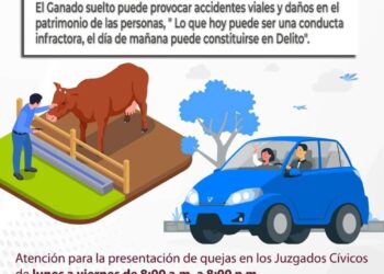 Con el objetivo de disminuir situaciones que puedan poner en riesgo a conductores y a la ciudadanía en general, a través del área de Justicia Cívica, se continúan tomando acciones respecto al ganado suelto obstruyendo el paso en vialidades del municipio.