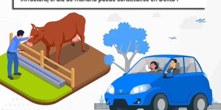 Con el objetivo de disminuir situaciones que puedan poner en riesgo a conductores y a la ciudadanía en general, a través del área de Justicia Cívica, se continúan tomando acciones respecto al ganado suelto obstruyendo el paso en vialidades del municipio.