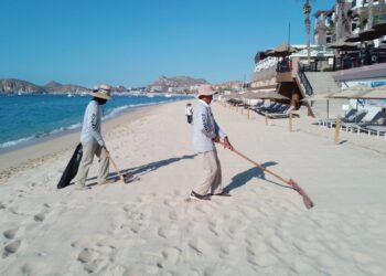 Con trabajo comprometido, Zofemat Los Cabos mantiene la limpieza permanente de las playas