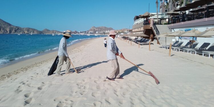 Con trabajo comprometido, Zofemat Los Cabos mantiene la limpieza permanente de las playas
