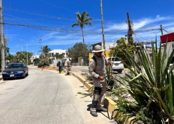 Refuerza Servicios Públicos limpieza en camellones y parques de la ciudad