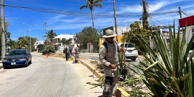Refuerza Servicios Públicos limpieza en camellones y parques de la ciudad