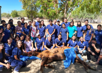 Apoya Ayuntamiento de La Paz en la profesionalización de futuros médicos veterinarios