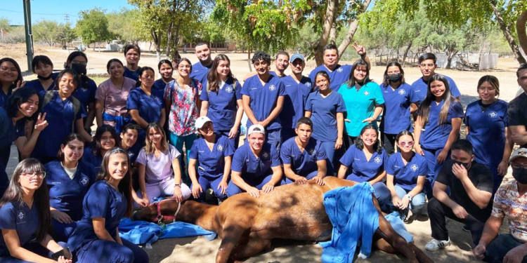 Apoya Ayuntamiento de La Paz en la profesionalización de futuros médicos veterinarios