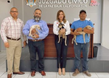 Brinda CEMAC pláticas sobre el maltrato animal en escuelas