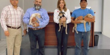 Brinda CEMAC pláticas sobre el maltrato animal en escuelas