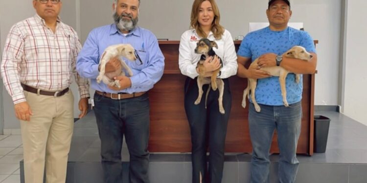 Brinda CEMAC pláticas sobre el maltrato animal en escuelas