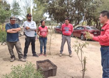 Capacitan a personal en el Manejo de Plantas en Áreas Verdes y Viveros