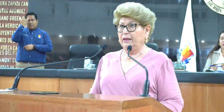 Propone la Diputada Blanca Belia Márquez que el Estado cree un Sistema de Planeación Democrática con economía circular y sustentable