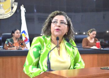 Se pronunció la Diputada María Luisa Ojeda González para que se esclarezca la eliminación de 35 NOMs