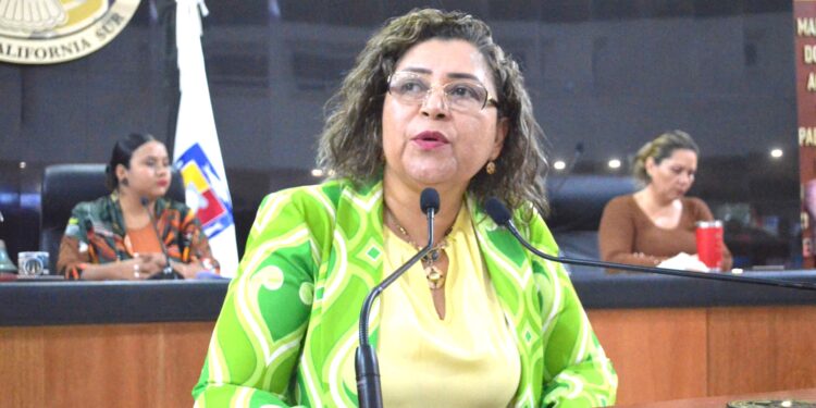 Se pronunció la Diputada María Luisa Ojeda González para que se esclarezca la eliminación de 35 NOMs