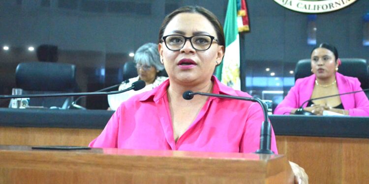 Propone la Diputada Paz del Alma Ochoa Amador devolver atribuciones al Congreso de BCS en materia de impuestos