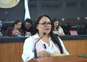 Se pronunció la Diputada Paz del Alma Ochoa Amador para que exista en la próxima legislatura mayor representación de mujeres
