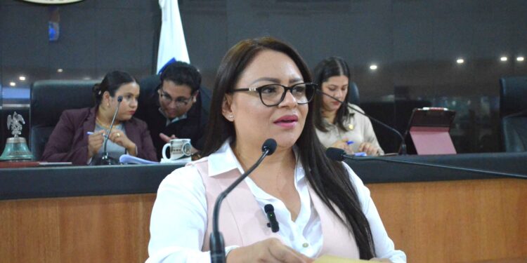 Se pronunció la Diputada Paz del Alma Ochoa Amador para que exista en la próxima legislatura mayor representación de mujeres