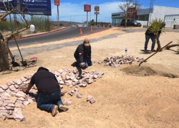 Embellece Servicios Públicos el camellón de la curva del libramiento Daniel Roldán