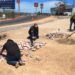 Embellece Servicios Públicos el camellón de la curva del libramiento Daniel Roldán
