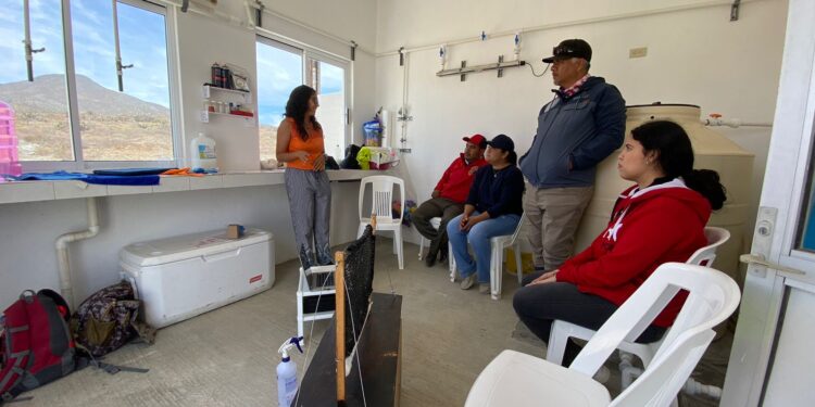CEA y UABCS trabajan en proyecto de captación de agua por niebla
