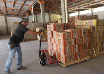REPARTIRÁ SEP MÁS DE UN MILLÓN DE LIBROSDE TEXTO GRATUITOS PARA EL CICLO 2023-2024