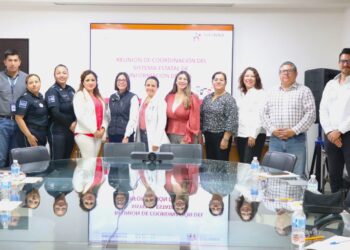 CONTARÁ BCS CON SISTEMA ESTATAL DE INFORMACIÓN DE NIÑAS, NIÑOS Y ADOLESCENTES&nbsp;