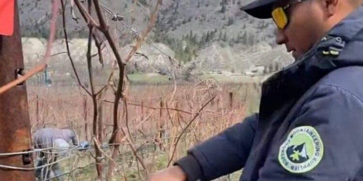 Hay oportunidades de trabajo en Alemania, Canadá y Estados Unidos: anuncia el SNE-BCS