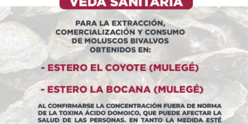 ESTABLECE COEPRIS VEDA SANITARIA EN LOS ESTEROS COYOTE Y LA BOCANA POR PRESENCIA DE TOXINA EN MOLUSCOS