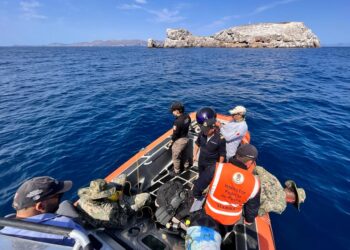 LA FGR RETIRA MÁS DE SEISCIENTOS METROS DE RED PESQUERA QUE OCASIONÓ DAÑOS AL ECOSISTEMA MARINO EN BCS