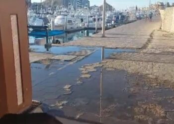 Preocupante exhibición de derrame de aguas negras y basura en la Marina de Cabo San Lucas