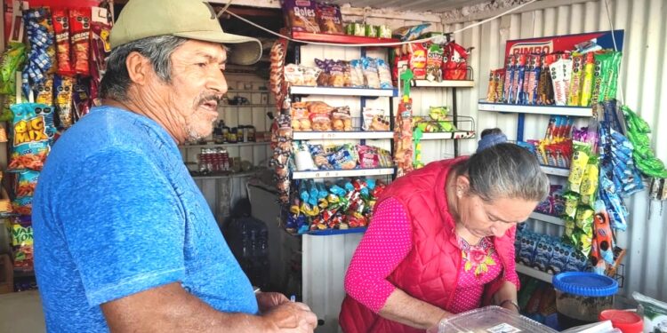 Inicia en La Paz el proyecto “Entre Palomas y Mitotes”