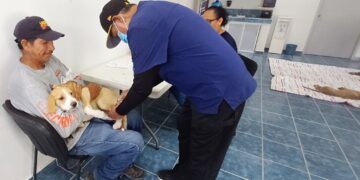 Realiza CEMAC Campaña de Esterilización Canina y Felina en colonia Agustín Olachea