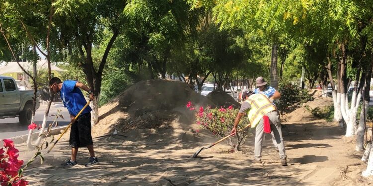 Realiza Servicios Públicos extracción de tierra en el bulevar Padre Kino