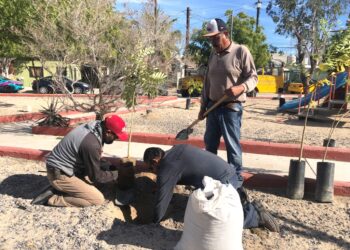 Realiza Servicios Públicos la reforestación del Parque Kiligua