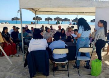 La Coordinación de la Zona Federal Marítimo Terrestre (ZOFEMAT) de Cabo San Lucas, cuenta con el área de Educación Ambiental la cual se encarga de difundir información acerca de como cuidar las playas,