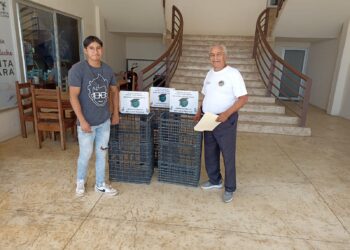 Programa “Mi Oficina con Sentido Ecológico”