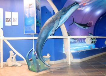 Museo Natural de Historia de Cabo San Lucas
